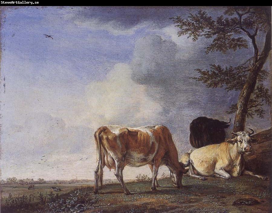 POTTER, Paulus Three Cows in a Pasture